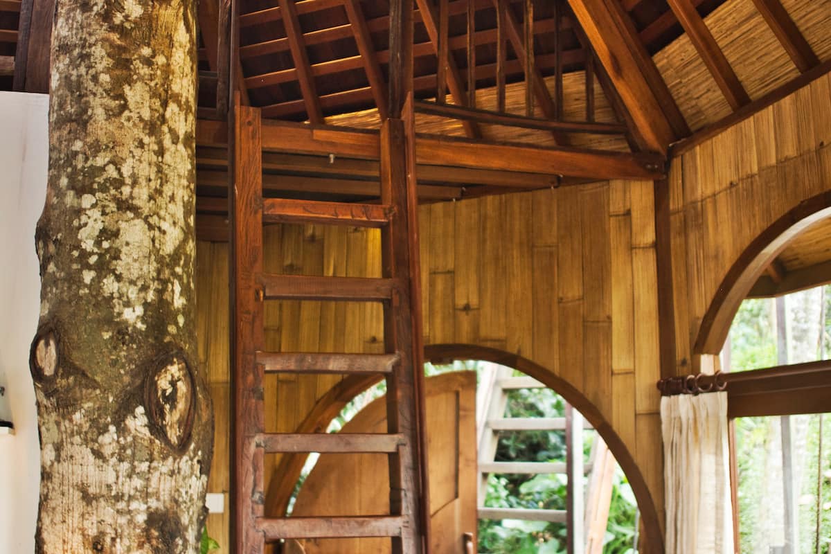 Ladder to loft that provides sleeping space for a child. Note the large durian tree that support ½ the weight of the treehouse.