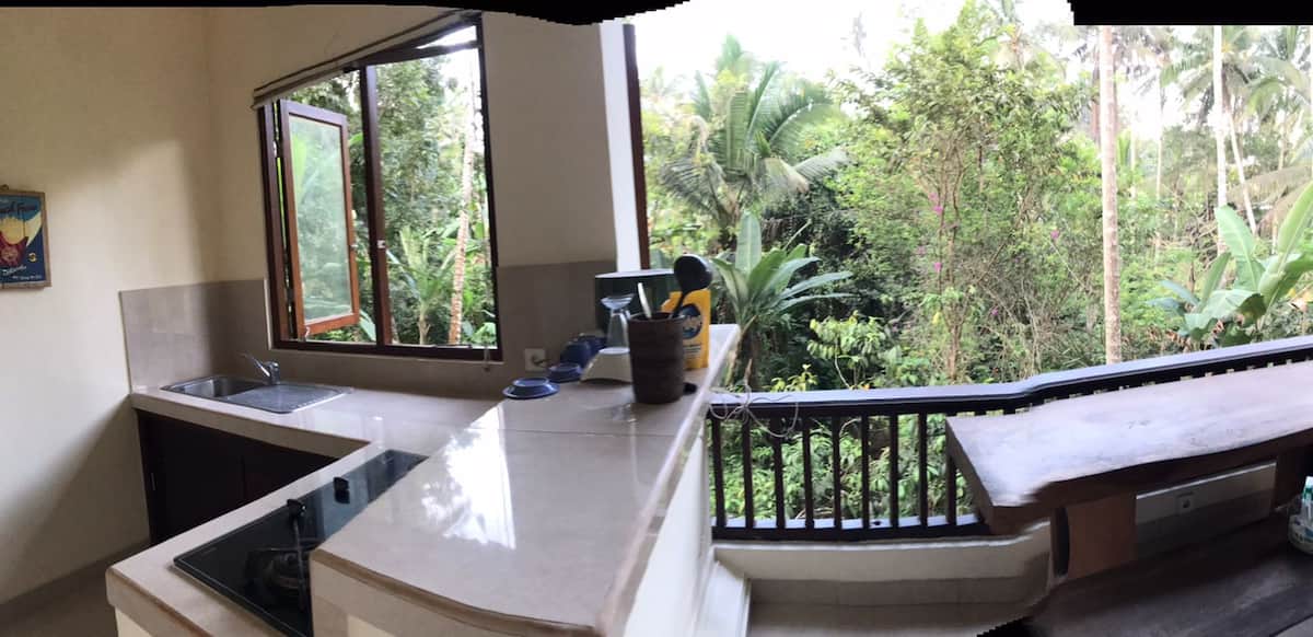 Private kitchen with junggle river view