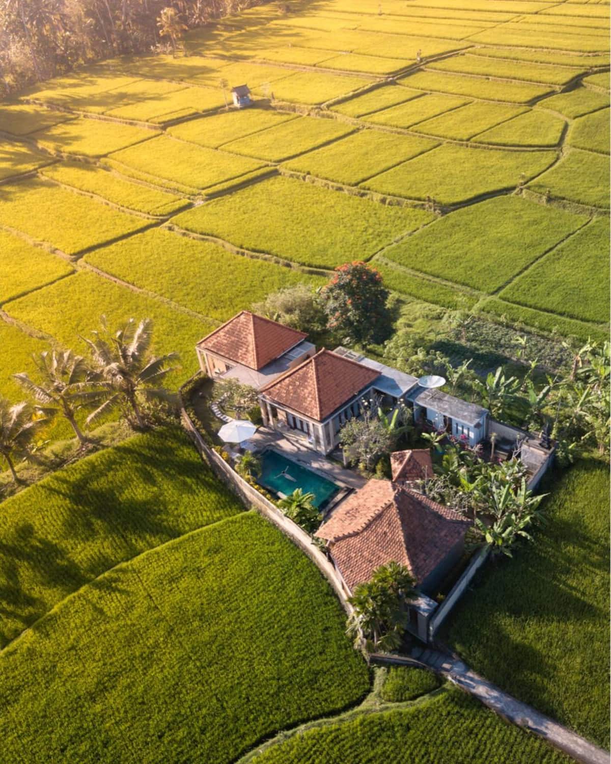 Our aerial view